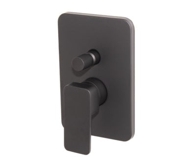 Shore Black Concealed Diverter Mixer
