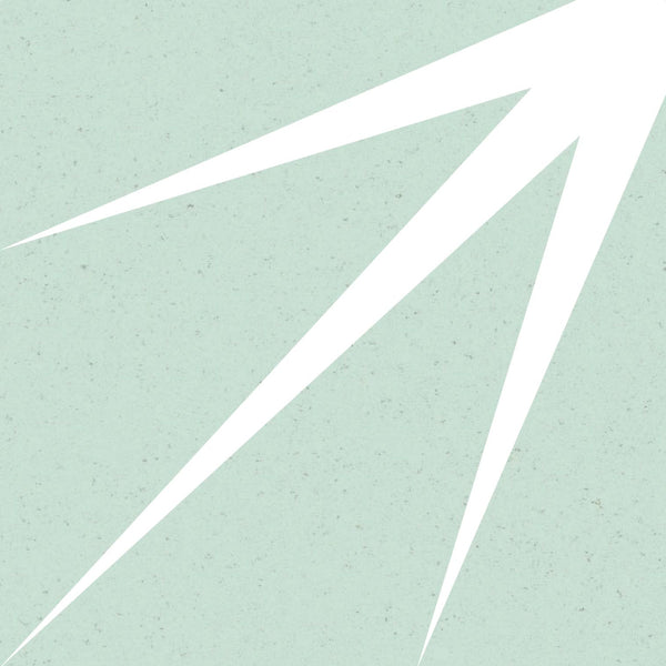 Ceramista Prisma Pistachio 200x200x8mm Matt Porcelain (0,56m²/box)