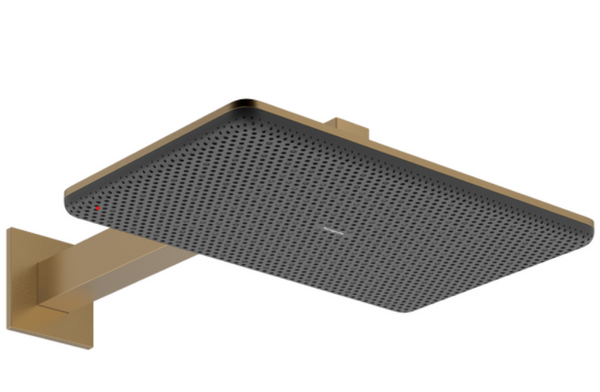 Raindance Alive Q Overhead shower 210x340 2jet with shower arm Brushed Bronze