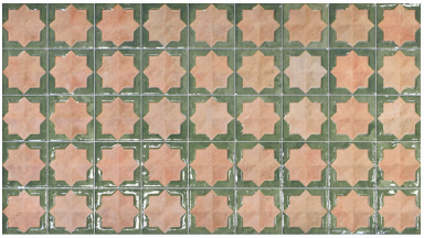 Tetuan Cotto Emerald 310X560X10mm (1.21Sqm/Box)