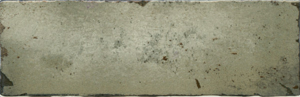 Amazonia Moss 65x200x8mm Gloss Ceramic (0.624sqm/box)