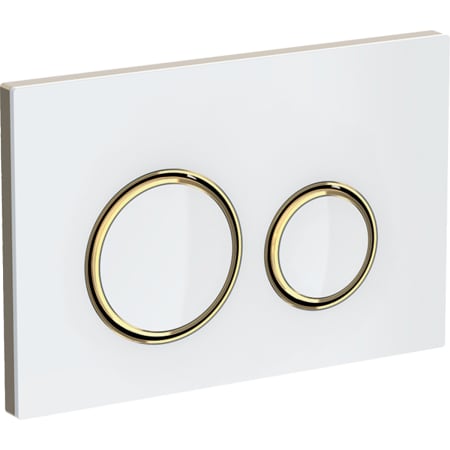 Sigma21, for dual flush, metal colour brass