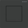 Type 30 Actuater Flush Plate Matt Black