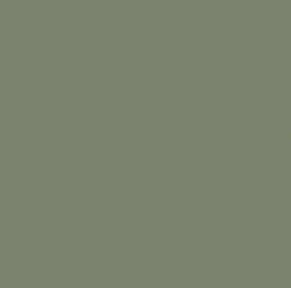 Cielo E Terra Verde Green Unglazed Porcelain 598X598X8mm (1.79Sqm2/Box)