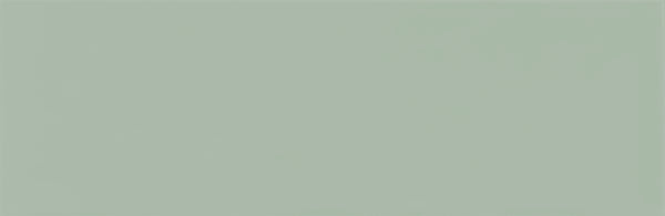 Chalky Acqua 65x200x8mm Matt Ceramic (0.624sqm/box)