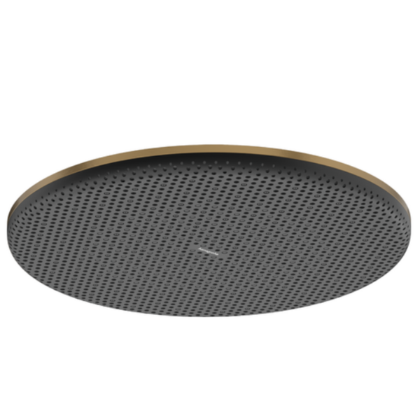 Hansgrohe Raindance Alive S Overhead shower 300 1jet Brushed Bronze