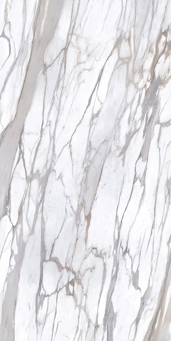 Calacatta Gold Full Lapp. 6.5mm (5.12sqm)