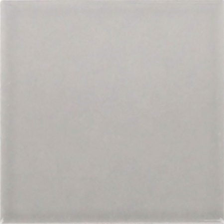 Dark Grey Gloss (100x100) 100x100 (100 Sheet / m²)