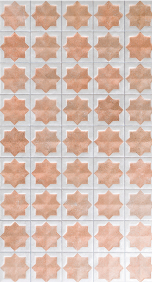 Tetuan Cotto White Porcelain Gloss/Matt 310X560mm (1.21Sqm/Box)