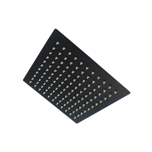 Bijiou Shower Rose Du Ray Pic Square 210mm Black