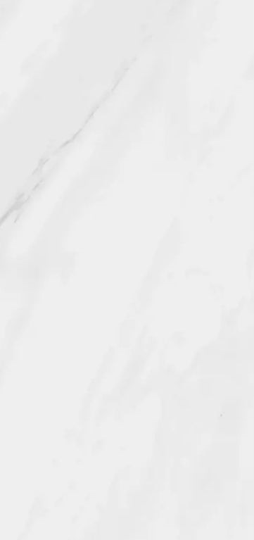 Lenci Blanco Matt Porcelain Tile 600x1200mm (10,5sqm2/box)