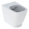 Smyle Square Lloor Standing WC Washdown Back To Wall Shrouded Rimfree Polished White