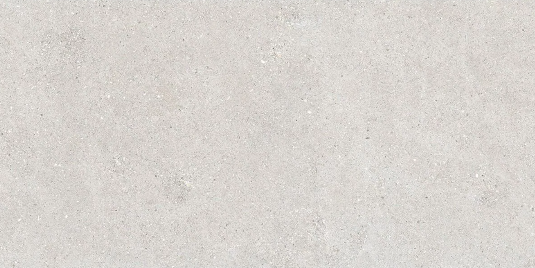 Shell Grey 600X1200X10mm