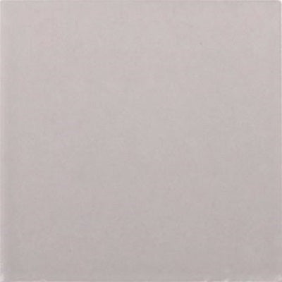 Dark Grey Matt (100x100 100x100 (100 Sheet / m²)