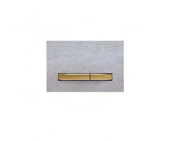 Sigma 50 Dual Flush Plate With Zinc Frame In PVD Brass