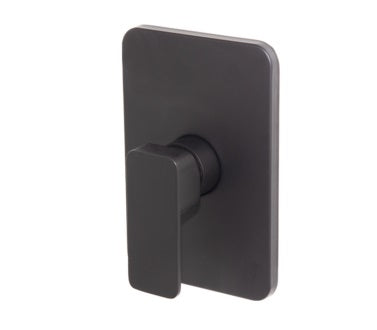 Shore Black Concealed Shower Mixer