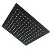 Bijiou Shower Rose Du Ray Pic Square 210mm Black