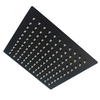 Bijiou Shower Rose Du Ray Pic Square 210mm Black