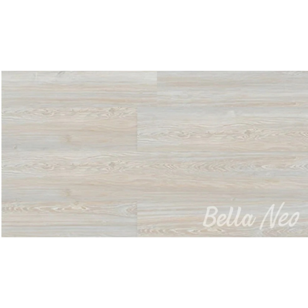 Camellia - Agt Bella Neo Ac3/W31