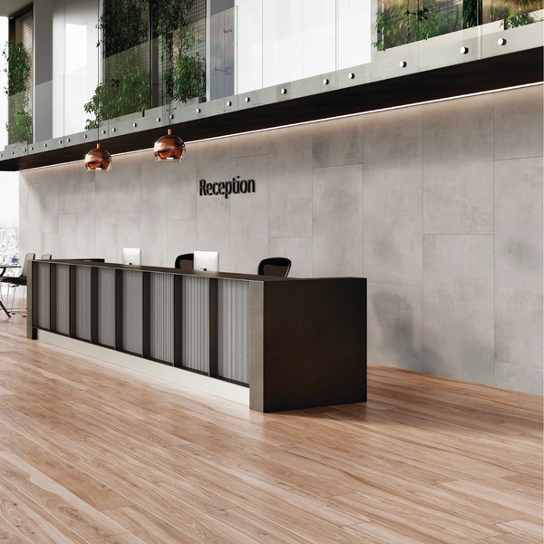 Concrete Gris Matt Porcelain Colour Body