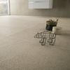 Dolomiti Sabbia Smooth Matt Full Body Porcelain