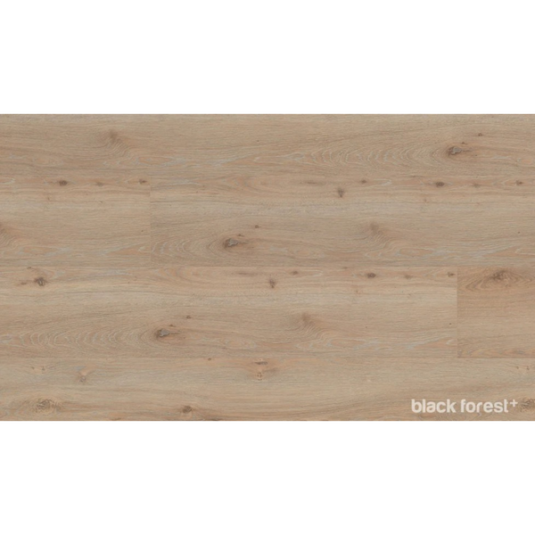 Maple Mist Ac5 - Black Forest Plus Ac5/W33