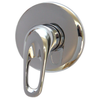 Mixed Tide Concealed Shower Mixer