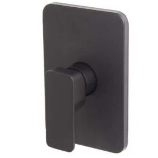Shore Black Concealed Shower Mixer