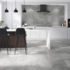 Stonemood Silver Matt Porcelain Colour Body