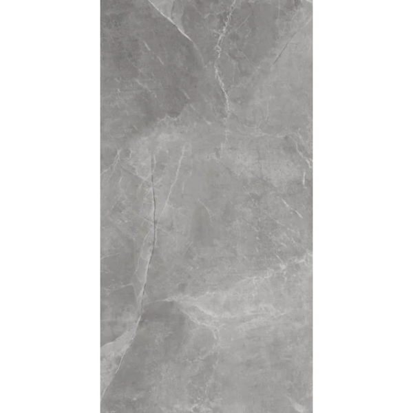 Stonemood Silver Matt Porcelain Colour Body