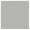 Light Grey Light Grey