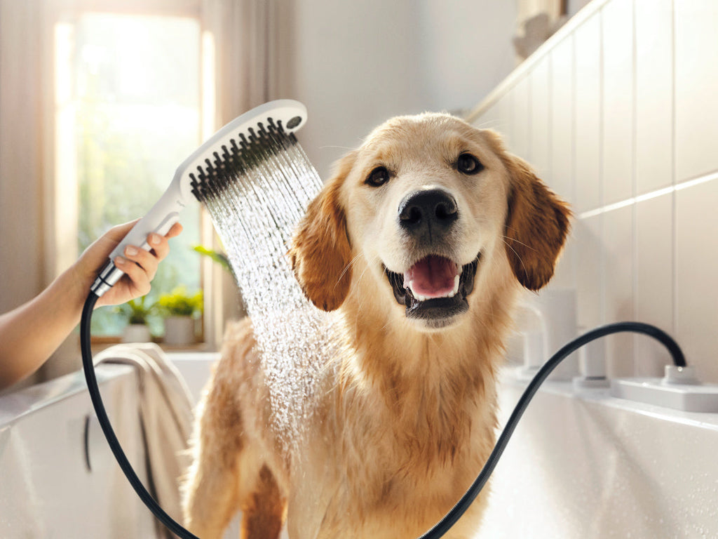 At-Home Dog Grooming Made Easy with the Hansgrohe DogShower