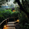 Gorilla Forest Lodge