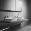 Amiata 60 Basin
