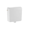 Exp. Cist. AP123 Remote Flush White