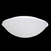 2xE27 40cmCeiling OPAL White Glass/White