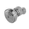 Basic Brass Shower Head 50mm