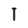 Ceiling Shower Arm 150mm Matt Black
