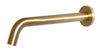 Wall Spout 250mm Brushed Brass