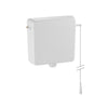 Exposed Cist. AP123 DrawChain White