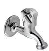 Coral Bib Tap 1/2Ix3/4I W/Machine