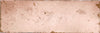 Amazonia Coral 65x200x8mm Gloss Ceramic (0.624sqm/box)