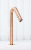 Sintra Faucet Powered By Ip67 Dual Power Input Box With A 9V Battery Pvd Copper Finish