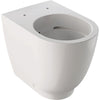 Acanto FloorStanding WC Washdown