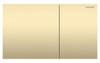Sigma70 Actuator Plate Dual Flush Brushed Brass