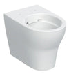 Geberit Selnova Floor-standing WC, Premium Washdown back to wall, Shrouded Rimfree