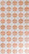 Tetuan Cotto White Porcelain Gloss/Matt 310X560mm (1.21Sqm/Box)