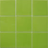 Evergreen (98x98) 300x300 (11 Sheet / m²)