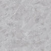 Thunder Silver Matt 800X800X10mm (1.92Sqm/Bx)