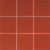 Cardinal (98x98x4) 300x300 (11 Sheet / m²)
